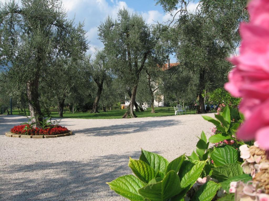 Hotel Zanetti Torri Del Benaco Exterior photo